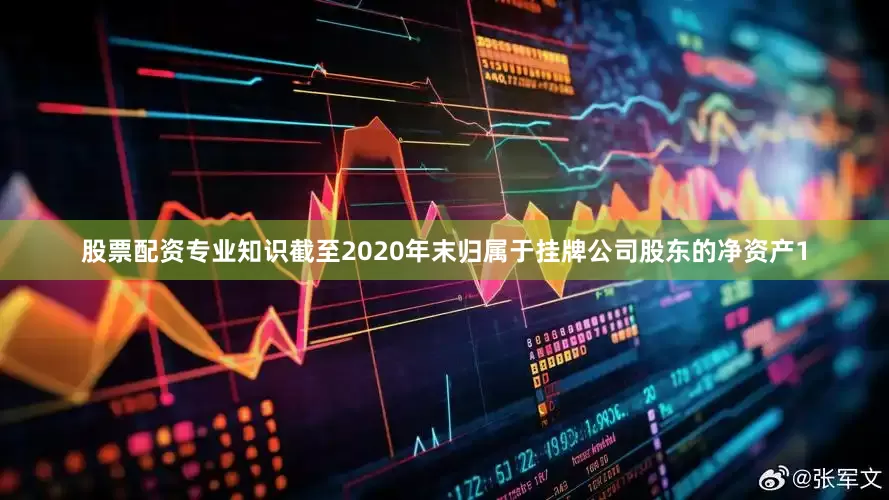 股票配资专业知识截至2020年末归属于挂牌公司股东的净资产1