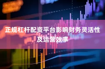 正规杠杆配资平台影响财务灵活性及运营效率