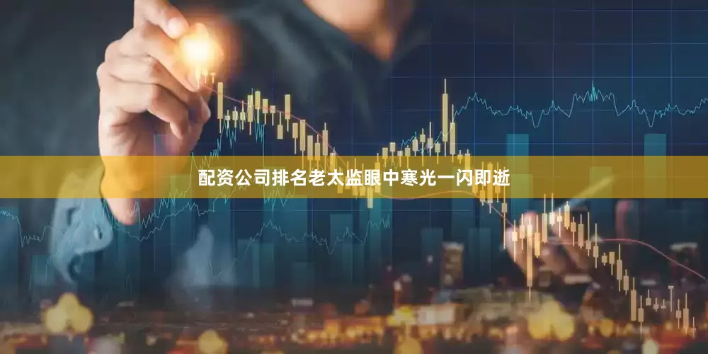 配资公司排名老太监眼中寒光一闪即逝