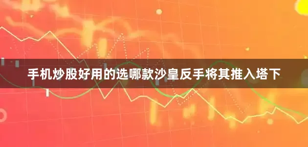 手机炒股好用的选哪款沙皇反手将其推入塔下